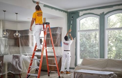 Interior Painting Cost Guide: DIY vs Hiring a Professional
